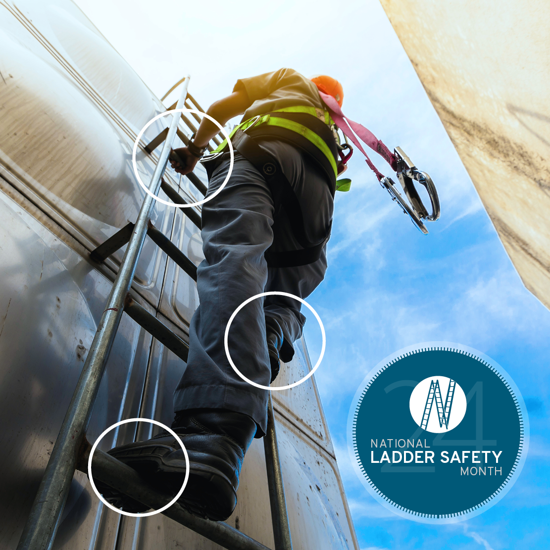 National Ladder Safety Month 2024